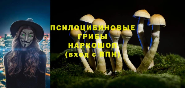 альфа пвп Нефтекумск