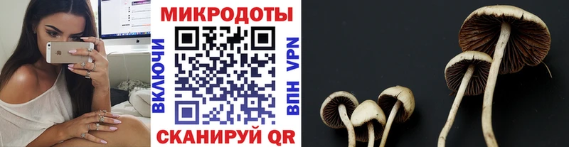 Псилоцибиновые грибы ЛСД  Приморск 