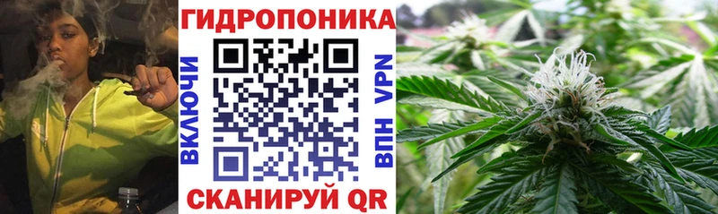 Каннабис гибрид  Приморск 